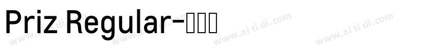 Priz Regular字体转换